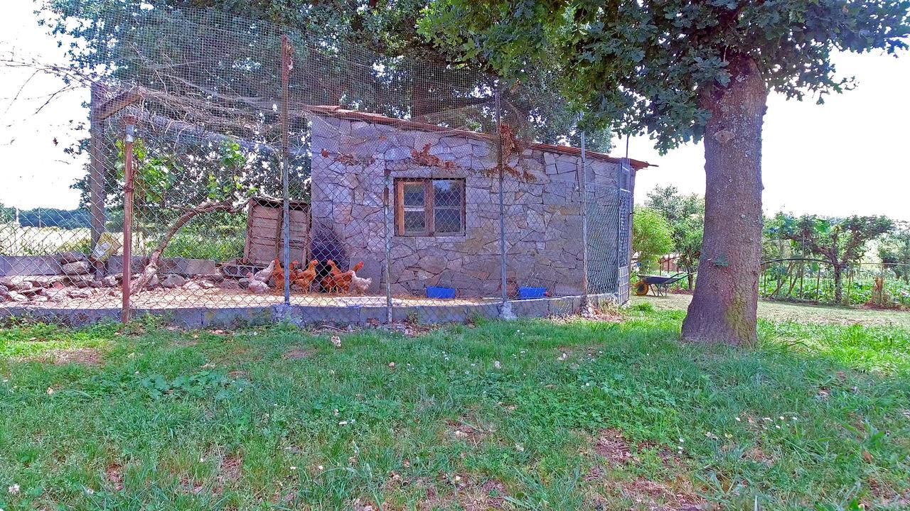 Penzion Torre Vilarino Vilarino  Exteriér fotografie